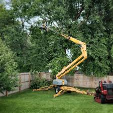 Best Tree Trimming and Pruning  in Spinnerstown, PA