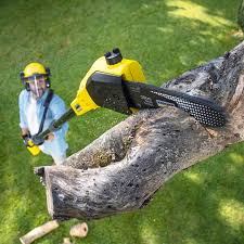 Best Commercial Tree Services  in Spinnerstown, PA