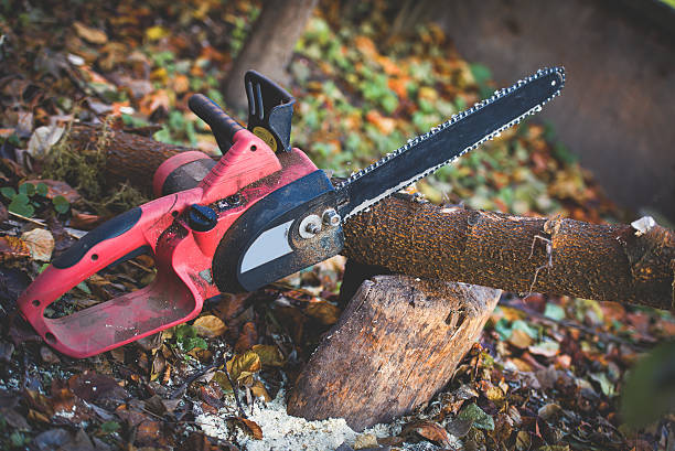 Best Tree Risk Assessment  in Spinnerstown, PA